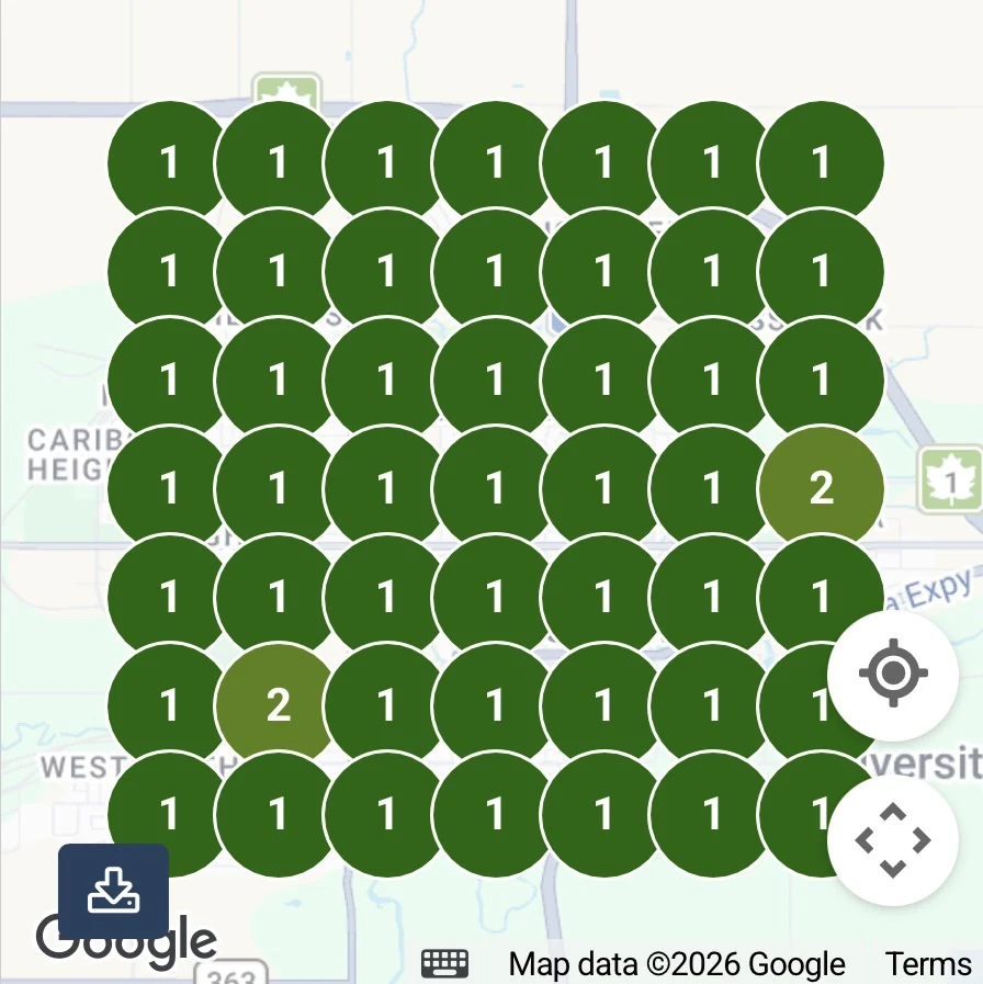 Local Falcon grid scan showing local map visibility across a service area